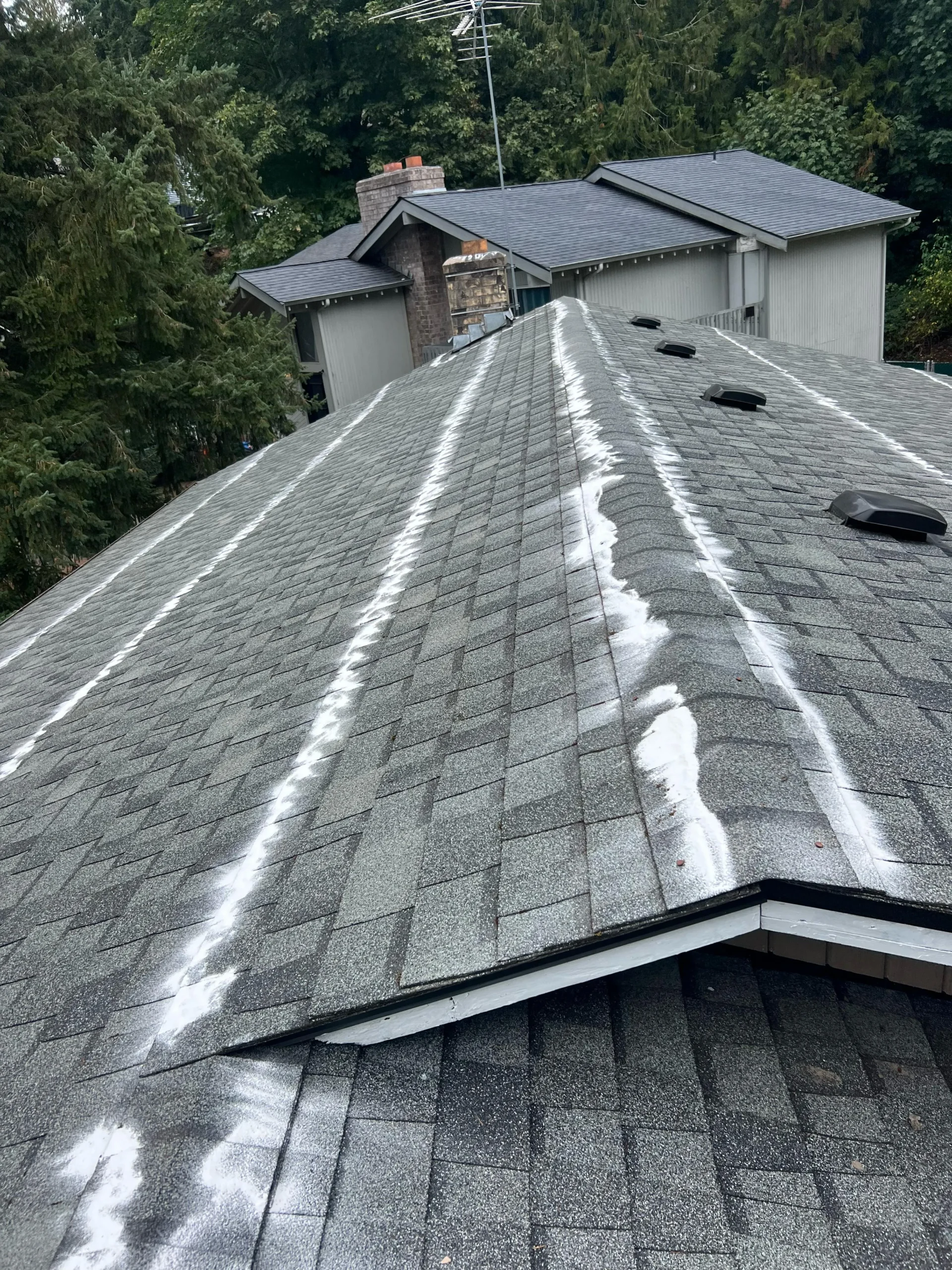 oscar landscaping (15)