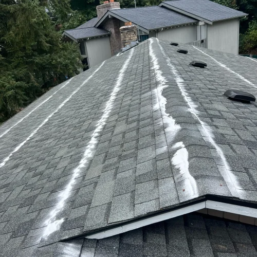 oscar landscaping (15)